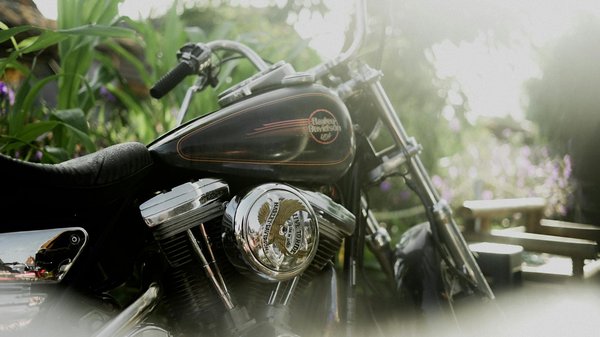 Harley-Davidson et le cinéma : Retour sur les apparitions mythiques